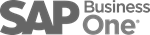 Uw webshop koppelen met SAP Business One